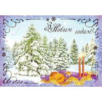 Беларусь ДМПК 2008 С Новым годом !