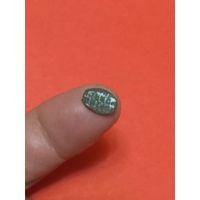 Чешуйка медная Алексей Михайлович