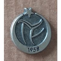 Значок Федерации Волейбола Турции