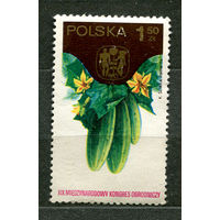 Овощи. Огурцы. Польша. 1974