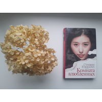 Стивен Кэрролл, "Комната влюбленных"