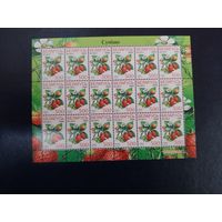 Стандарт 2004. Ягоды. 500. Земляника. Малый лист