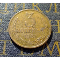 3 копейки 1981 СССР #30