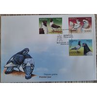 КПД. Голуби. 2011 г.