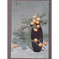 Чистая. Зимние мотивы Горбачев, Кулаков 1976 г