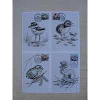 Продажа коллекции с 1 рубля! КПД Беларуси.