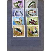 МОНГОЛИЯ, 1965  РЫБЫ,   серия  8м   гашен