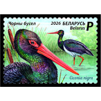 2026 БЕЛАРУСЬ     "Птицы Беларуси. Черный аист" MNH