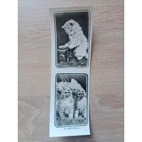 Закладка для книг 1990-е.Кооператив Зенит