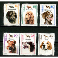 Польша - 1989 - Собаки - [Mi. 3197-3202] - полная серия - 6 марок. MNH.  (Лот 58HW)-TG3P35
