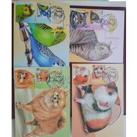 Картмаксимум 4 шт. Детская филателия. Домашние питомцы Фауна Беларусь 2025 **