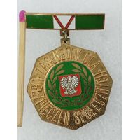 Знак ПНР. Ветерану социального страхования. тяжёлый