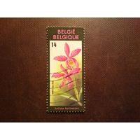 Бельгия 1990 г.Двулистная орхидея Cattleya harrisoniana (орхидея Харрисона Кэттли)./22а/