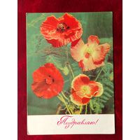 Поздравляю! Подписанная. 1969 года. Дергилев. 875.