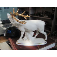 Олень, Германия.