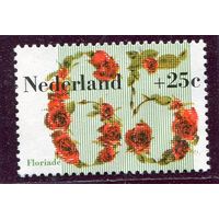 Нидерланды. Выставки цветов