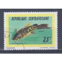 [246] ЦАР 1995. Фауна.Рыбы. Гашеная марка.
