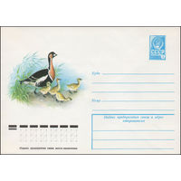 Художественный маркированный конверт СССР N 12796 (19.04.1978) Краснозобая казарка