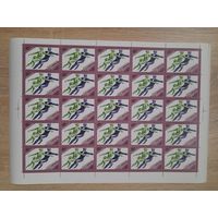 Лист 1984 г. Олимпийские игры Сараево 45 к.