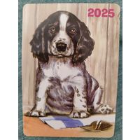 Календарик карманный Собака 2025