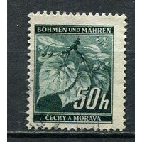 Богемия и Моравия - 1940/0941 - Листья липы 50H - [Mi.55] - 1 марка. Гашеная.  (Лот 17HD)-T4P3