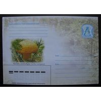 ХМК Беларусь 2006 г. Гриб моховик желто-бурый. з. 7064-06 .