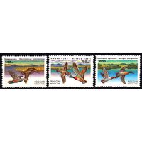 Россия 1995 г. 242-244 Фауна. Утки. **