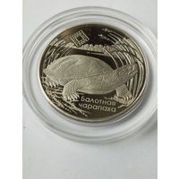 Болотная черепаха 1 руб. Без минималки