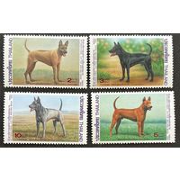 Марки Таиланд 1993 Собаки. Породы собак. MNH