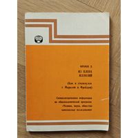 Фромм Эрих. Из плена иллюзий (как я столкнулся с Марксом и Фрейдом)