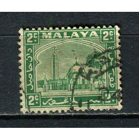 Малайские штаты - Селангор - 1935/1941 - Архитектура 2С - [Mi.32] - 1 марка. Гашеная.  (Лот 50Gw)-T4P14