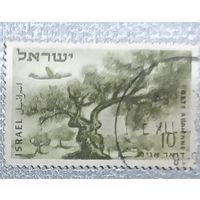 Самолёт. Израиль, 1954