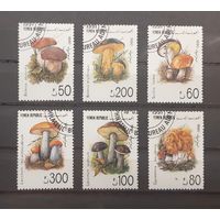 Йемен. 1990 год. Флора. Грибы (6 марок)