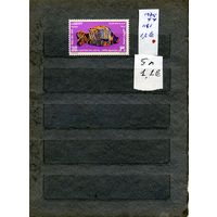 ЕГИПЕТ, 1975, РЫБЫ,  1м чист