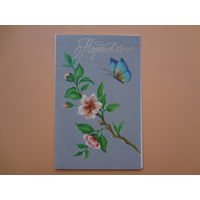 Поздравляем!  Цветы, бабочка.  1989 г.  двойная.