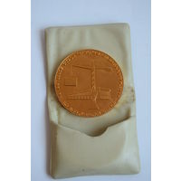 Памятная (настольная) медаль. ЦС ДСО "Красное знамя". "За активное строительство спортсооружений". Ретро СССР.