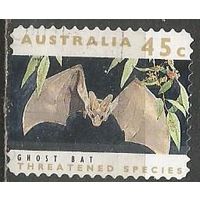Австралия. Летучая мышь. 1992г. Mi#1280.