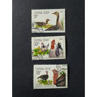 1990 СССР. Домашние птицы. Полная серия