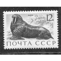 СССР 1971. Морская Фауна. Морж
