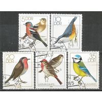 ГДР. Певчие птицы. 1979г. Mi#2388-92.