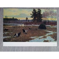 1956. Глебов. Глухариный ток