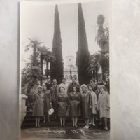 Фотография. Сочи. Дендрарий. Экскурсия. Ретро СССР. 1966 год.