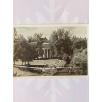 Открытка г. Павловск. Павильон Храм Дружбы 1954г