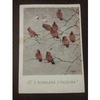 С Новым годом. 1980г.