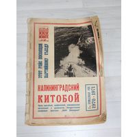 Газета "Калининградский китобой".