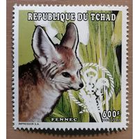 Марка Чад 1997 г., серия -- Фауна Сахары, Фенек -- песчаный лис.