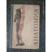Медицинские справочники по анатомии