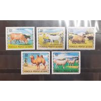 Монголия. 1971 год. Фауна (1042)