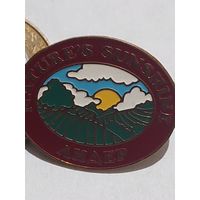 Значок " Лидер "