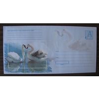 2005 г. Почтовый набор для письма ХМК РБ с бумагой , Лебеди з. 6509-05